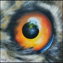 Augenblick eines Uhus 1 Acryl auf Leinwand;
30 x 30 cm